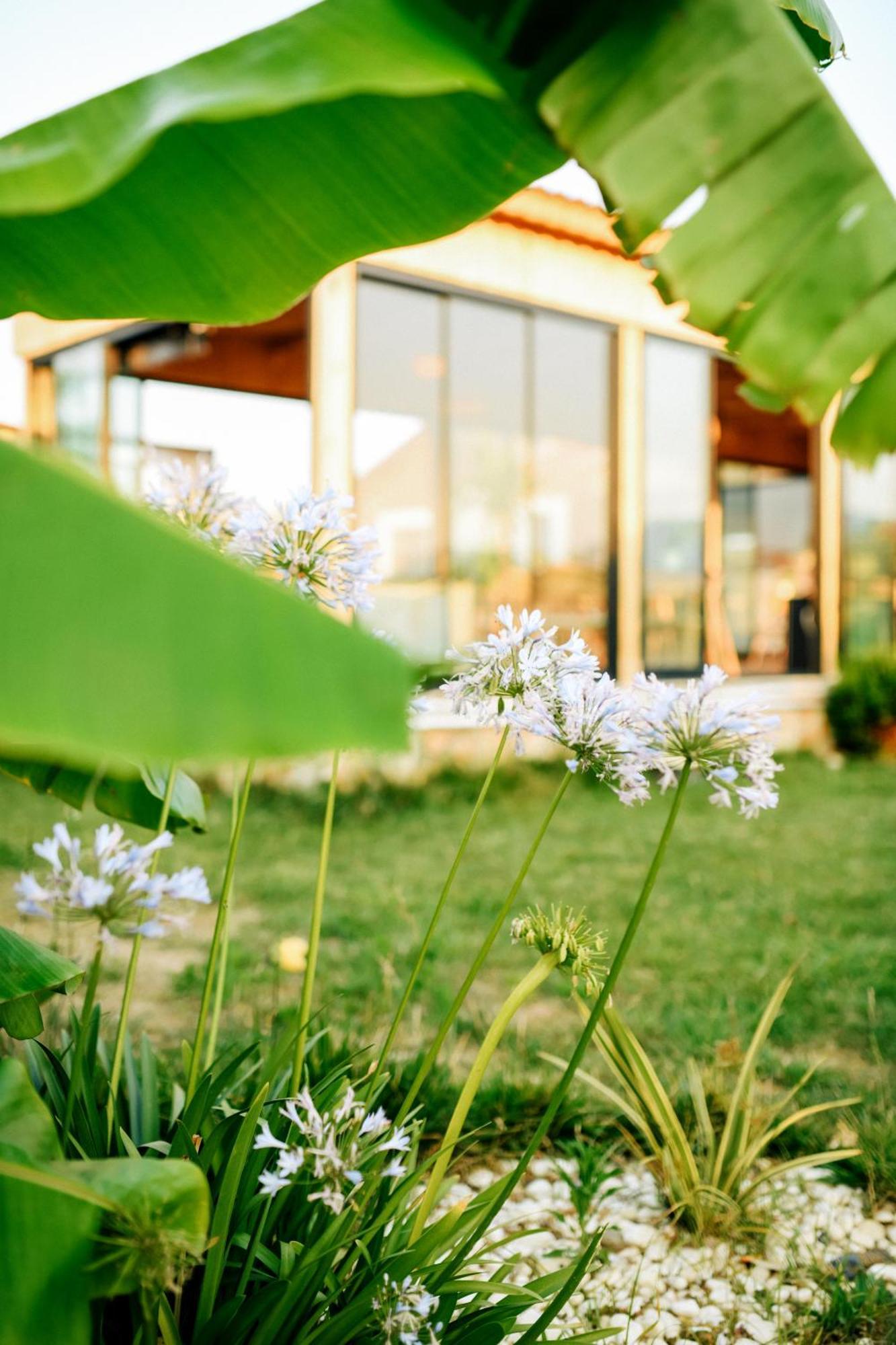 Hotel Mandalin Glamping Selcuk Exteriér fotografie